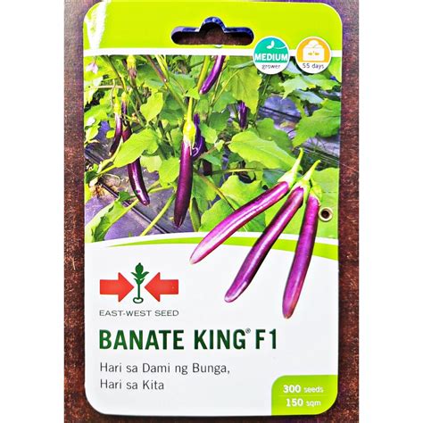 banate king f1|BANATE KING F1 HYBRID EGGPLANT SEEDS (50 GRAMS) .